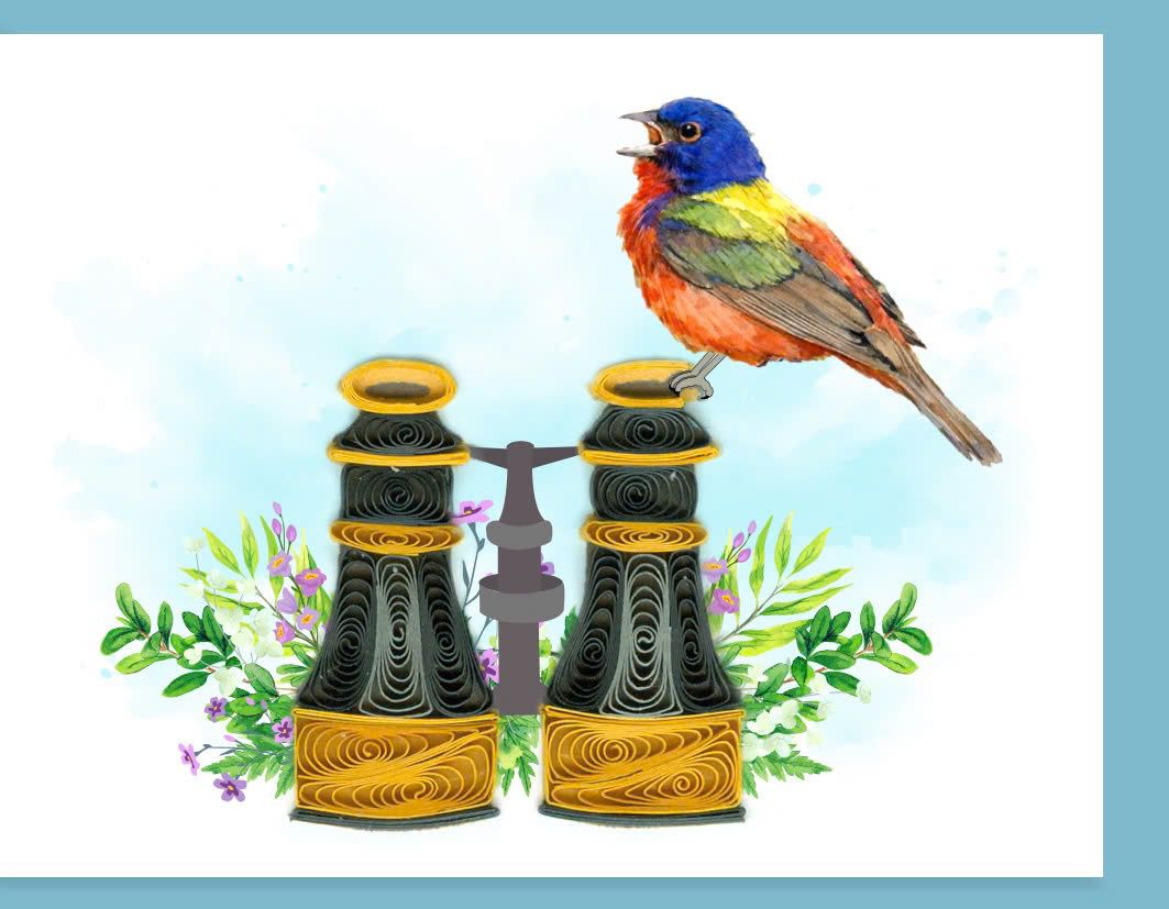 Hand Quilled Gift Enclosure Mini Card Bird Watcher #GE