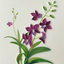 Hand Quilled Greeting Card Dendrobium Orchid #10522