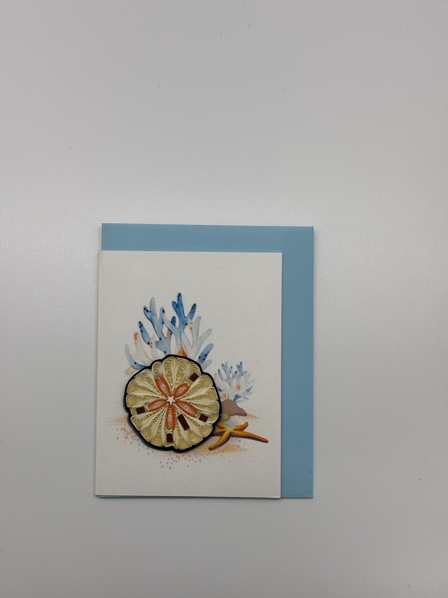 Hand Quilled Gift Enclosure Mini Card Sand Dollar #GE
