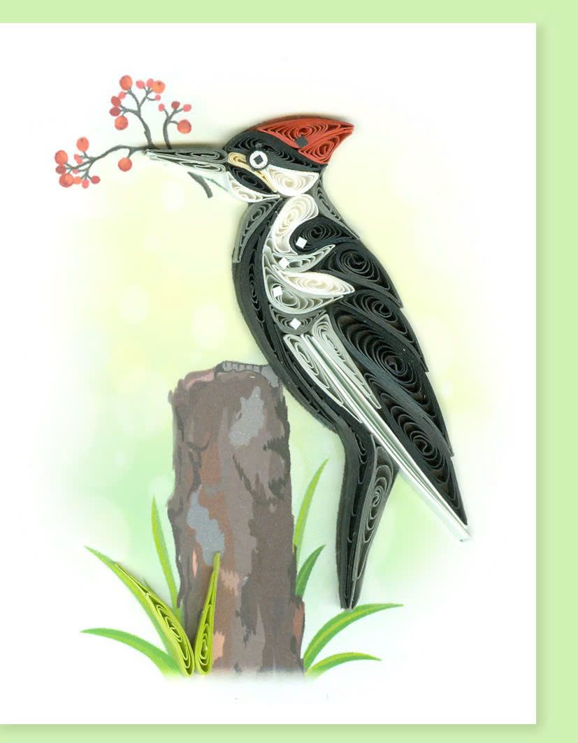 Hand Quilled Gift Enclosure Mini Card Pileated Woodpecker #GE12237