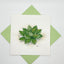 Hand Quilled Greeting Card Succulent #10613